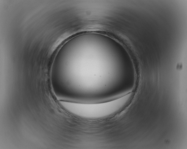 X0000111221457200907021323
