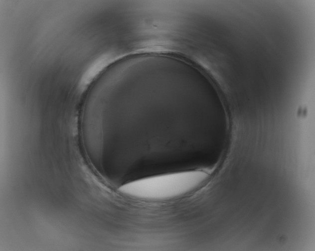 X0000111221459200907021323