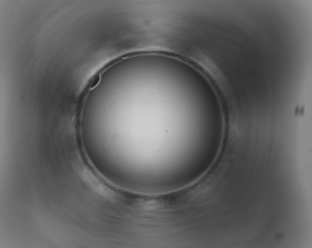 X0000111221460200907021323