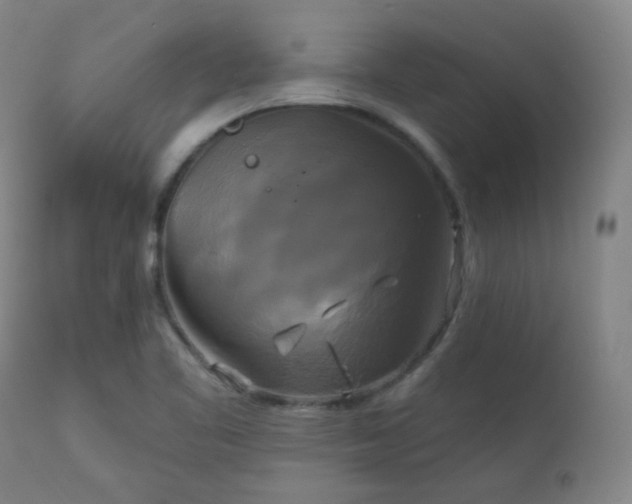 X0000111221461200907021323