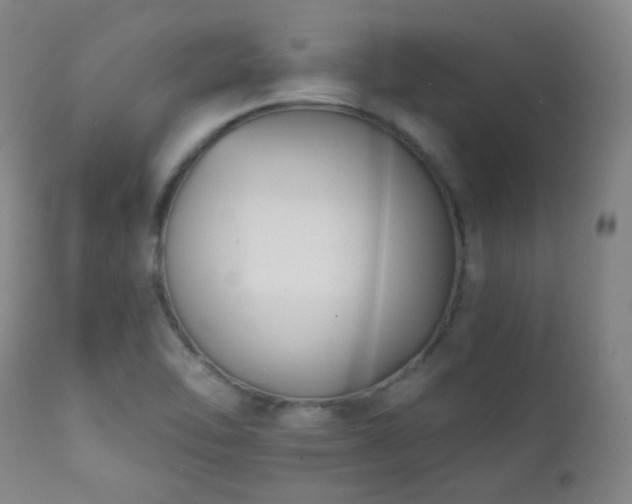 X0000111221462200907021323