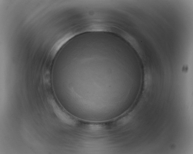X0000111221465200907021323