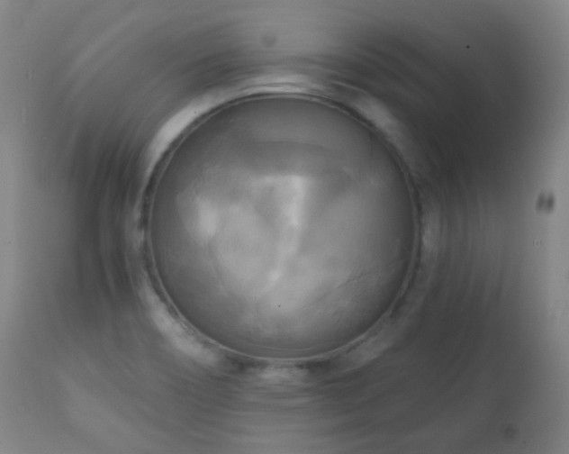 X0000111221466200907021323