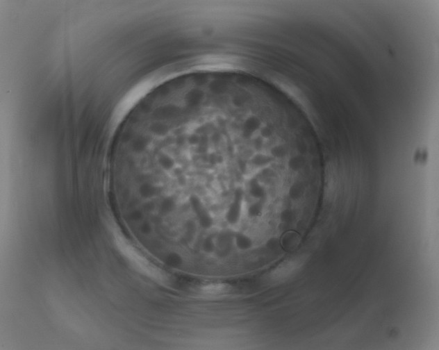X0000111221467200907021323