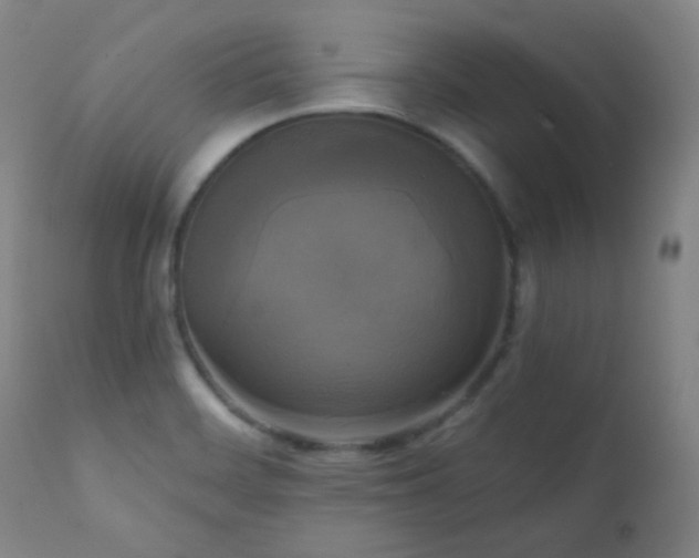 X0000111221468200907021323