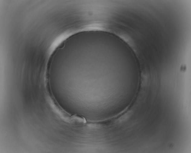 X0000111221469200907021323