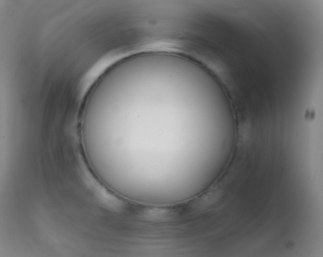 X0000111221470200907021323