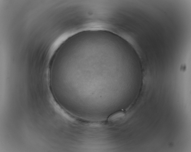 X0000111221472200907021323