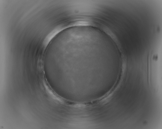 X0000111221473200907021323