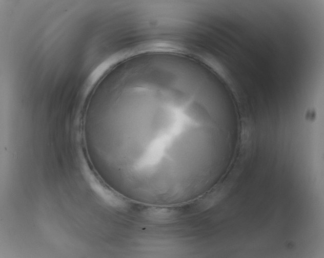 X0000111221474200907021323