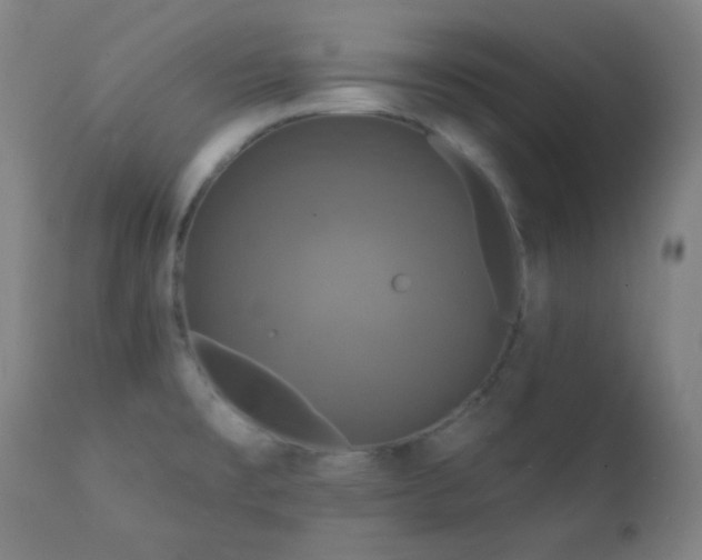X0000111221477200907021323