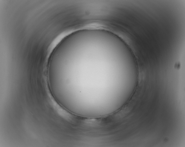 X0000111221478200907021322