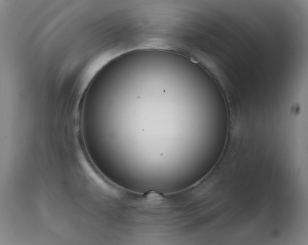 X0000111221479200907021322