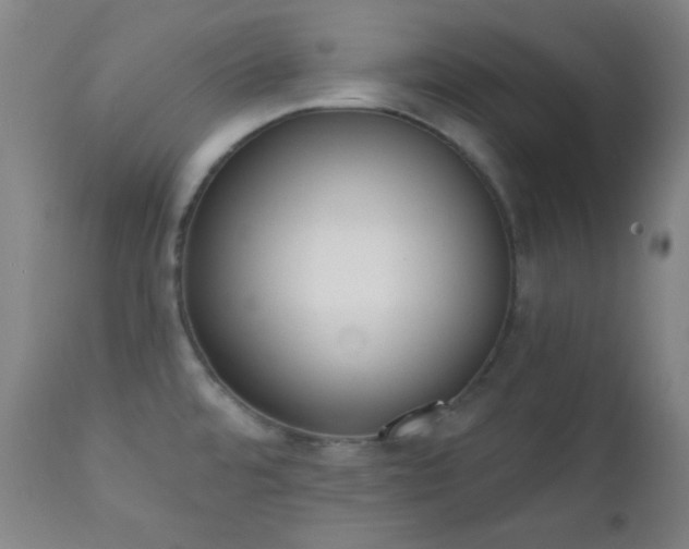 X0000111221480200907021322