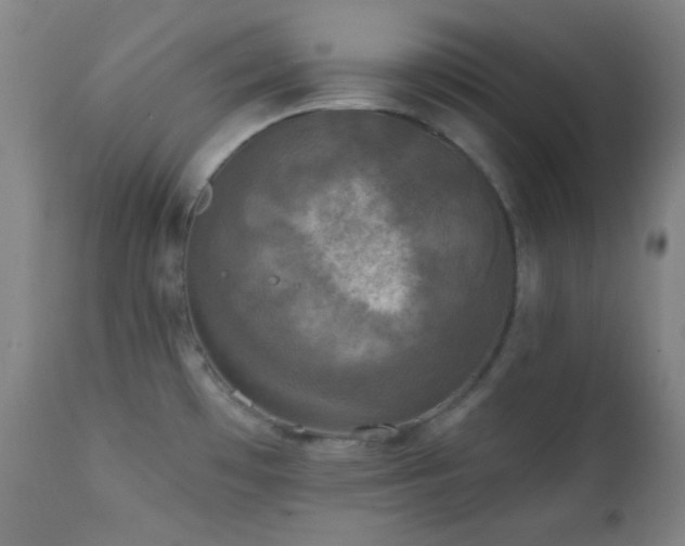 X0000111221481200907021322