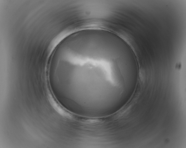 X0000111221482200907021322