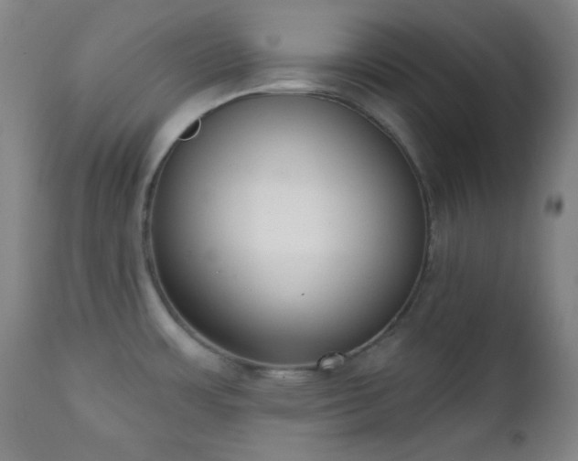 X0000111221483200907021322
