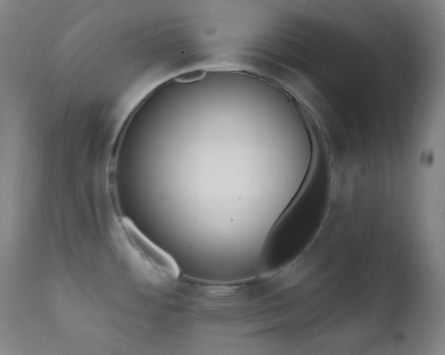 X0000111221484200907021322