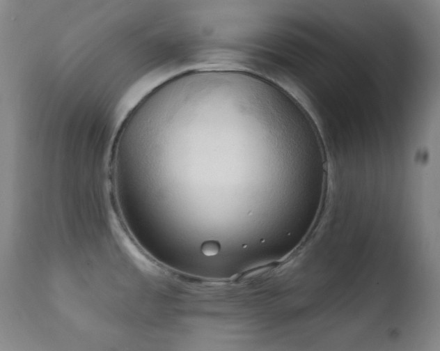 X0000111221485200907021322