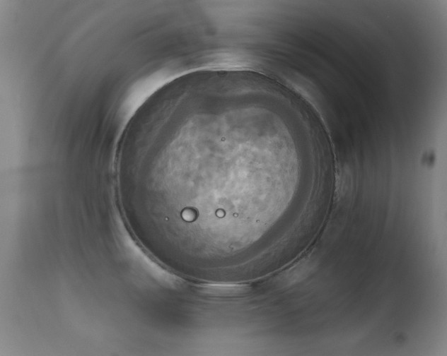 X0000111221487200907021322