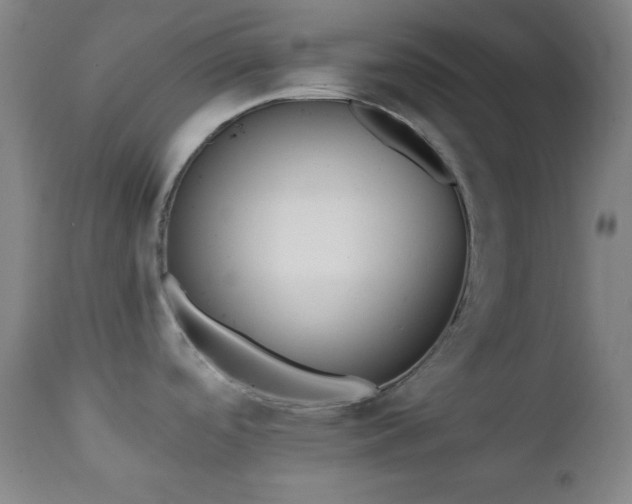 X0000111221488200907021322