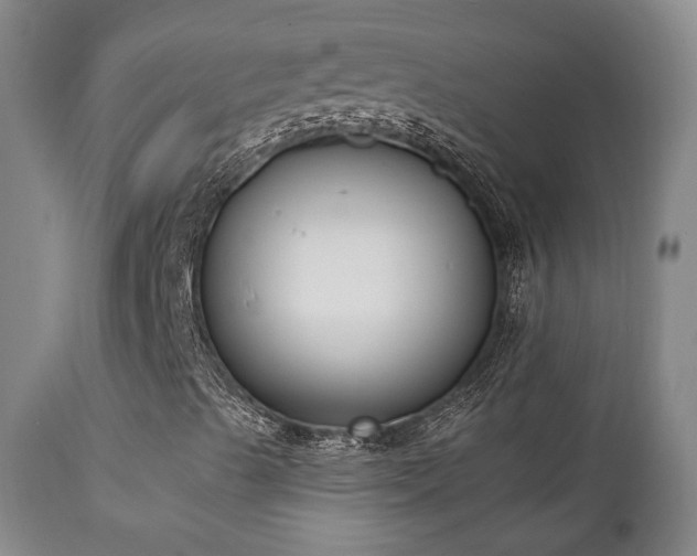 X0000111221489200907021321