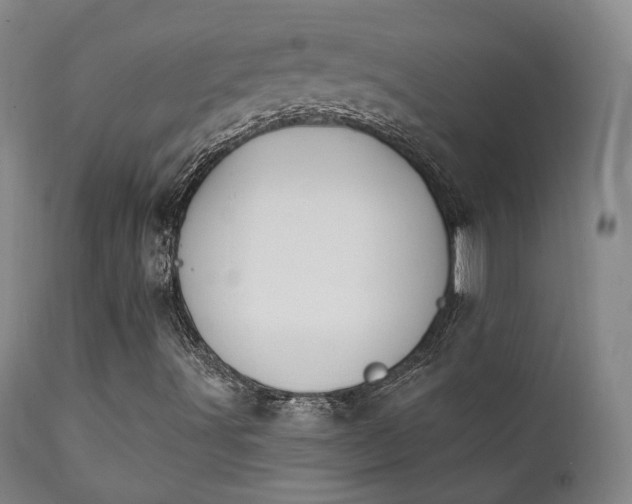X0000111221491200907021321