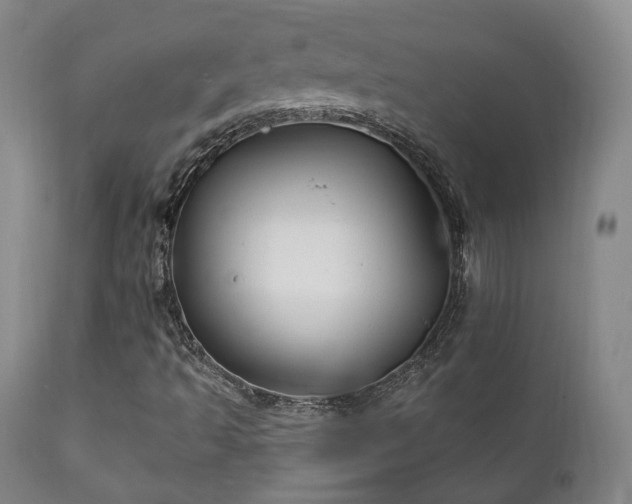 X0000111221493200907021321