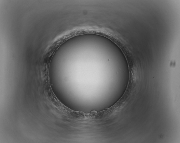 X0000111221494200907021321