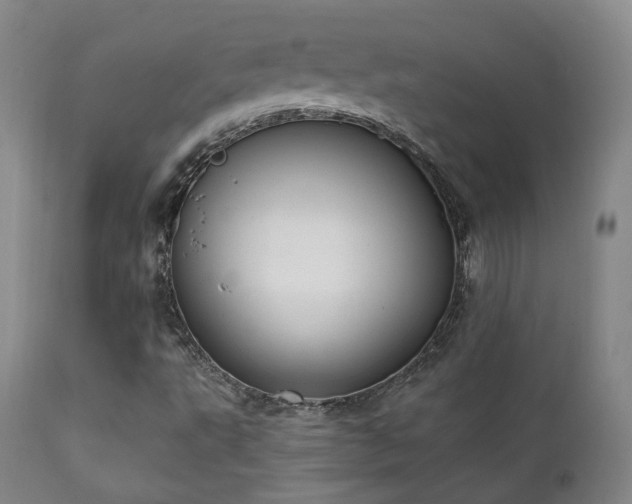 X0000111221495200907021321