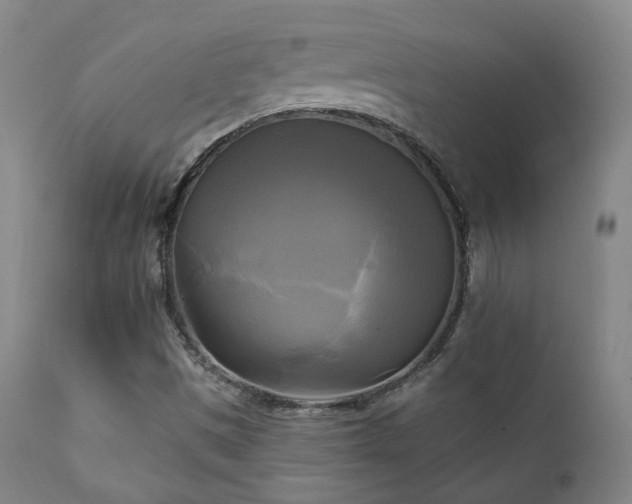 X0000111221497200907021321
