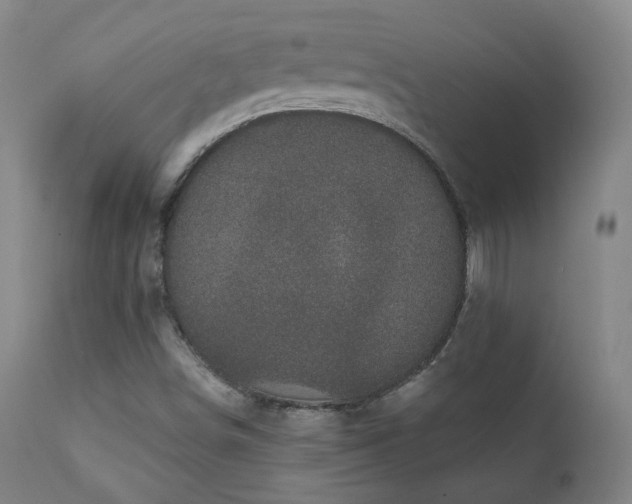 X0000111221498200907021322