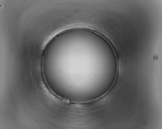 X0000111221500200907021322