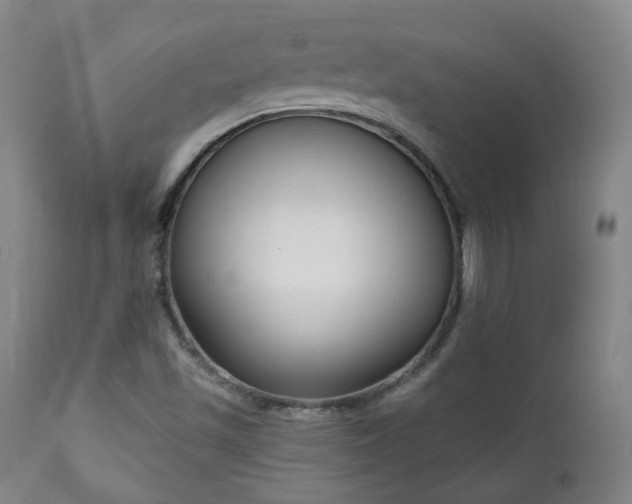 X0000111221501200907021322