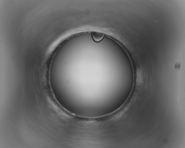 X0000111221502200907021322