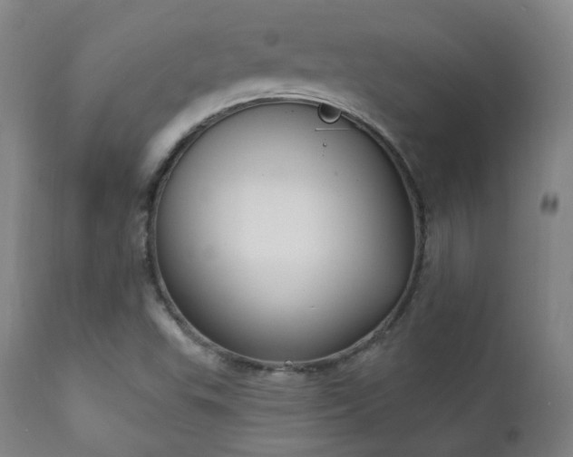 X0000111221503200907021322