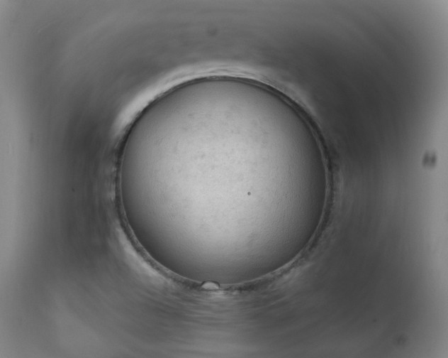 X0000111221504200907021322