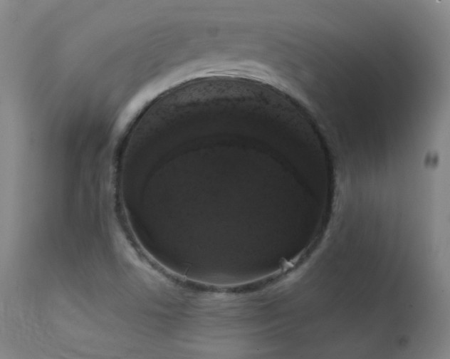 X0000111221506200907021322