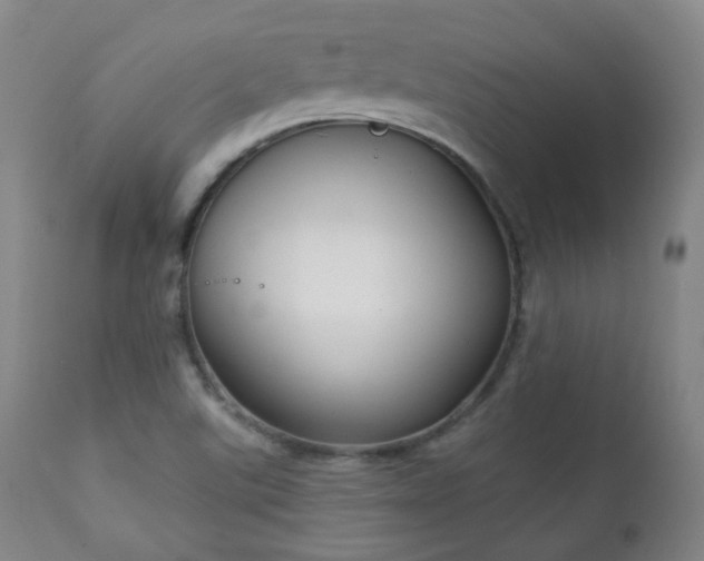 X0000111221507200907021322