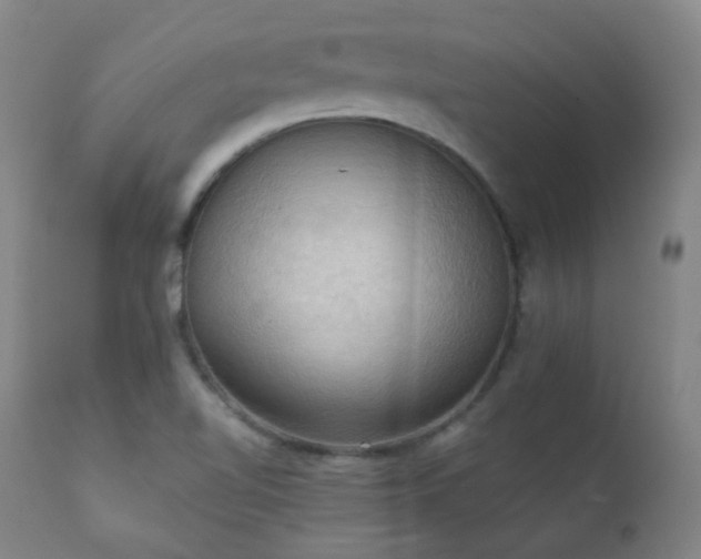X0000111221510200907021322