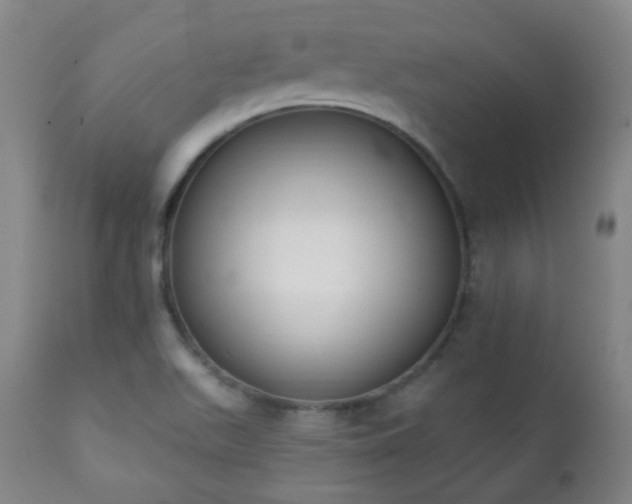 X0000111221511200907021322