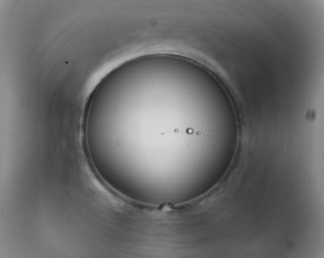 X0000111221512200907021322