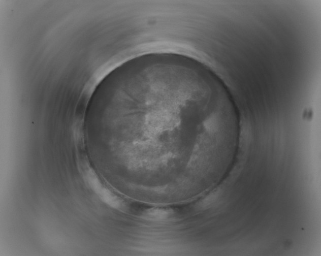 X0000111221513200907021322