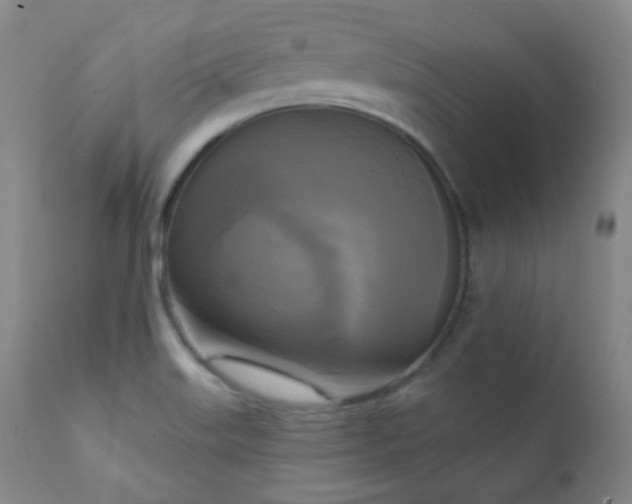 X0000111221515200907021322