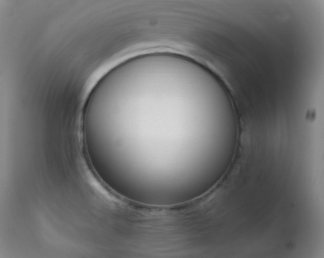 X0000111221516200907021322