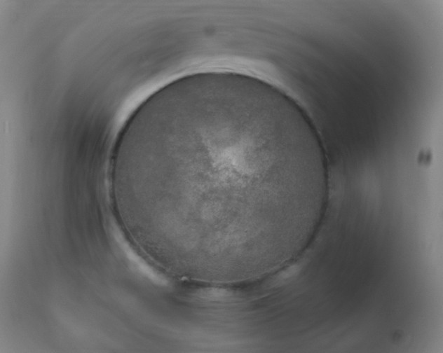 X0000111221517200907021322
