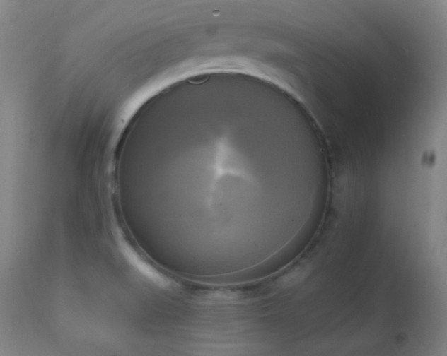 X0000111221519200907021322