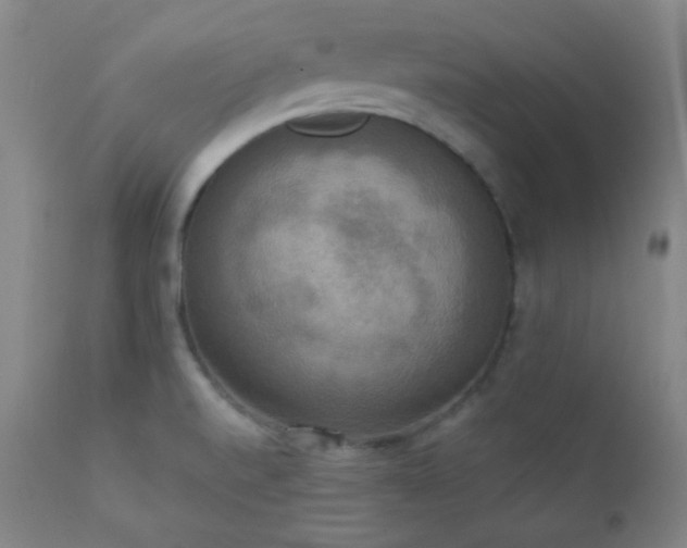 X0000111221520200907021322