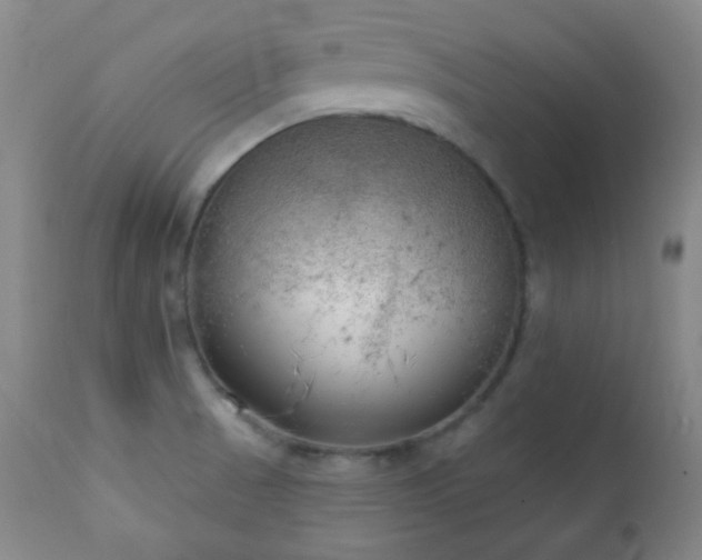 X0000111221521200907021322