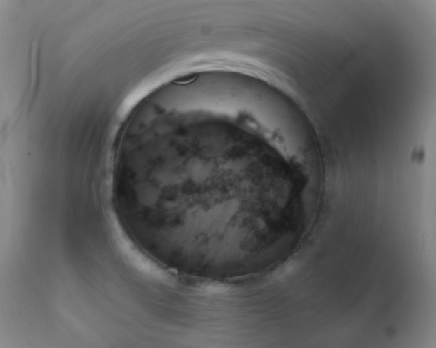 X0000111221522200907021322
